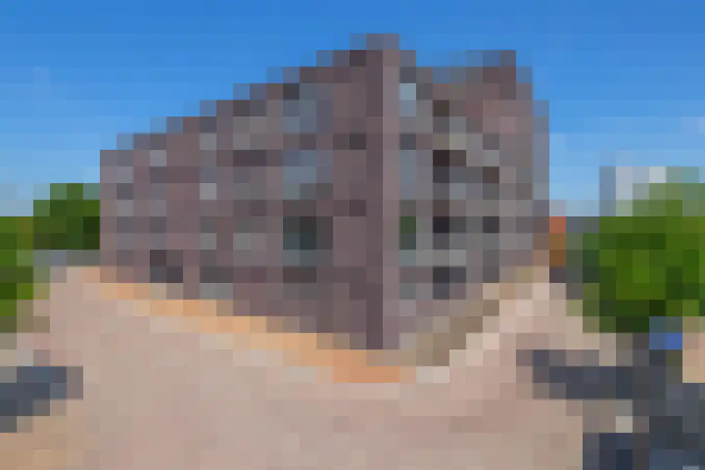 De Dankbaarheid 10 Zevenbergen thumbnail 7
