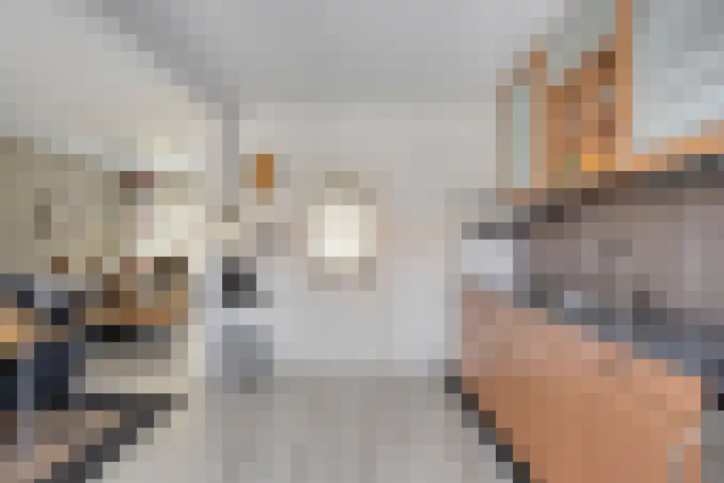 de Dardanellen 23 Emmeloord thumbnail 13