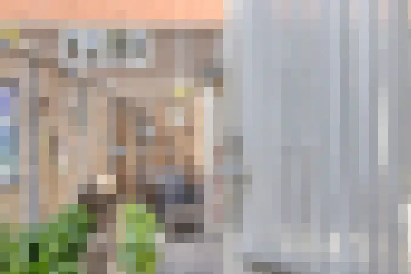 de Dardanellen 23 Emmeloord thumbnail 14