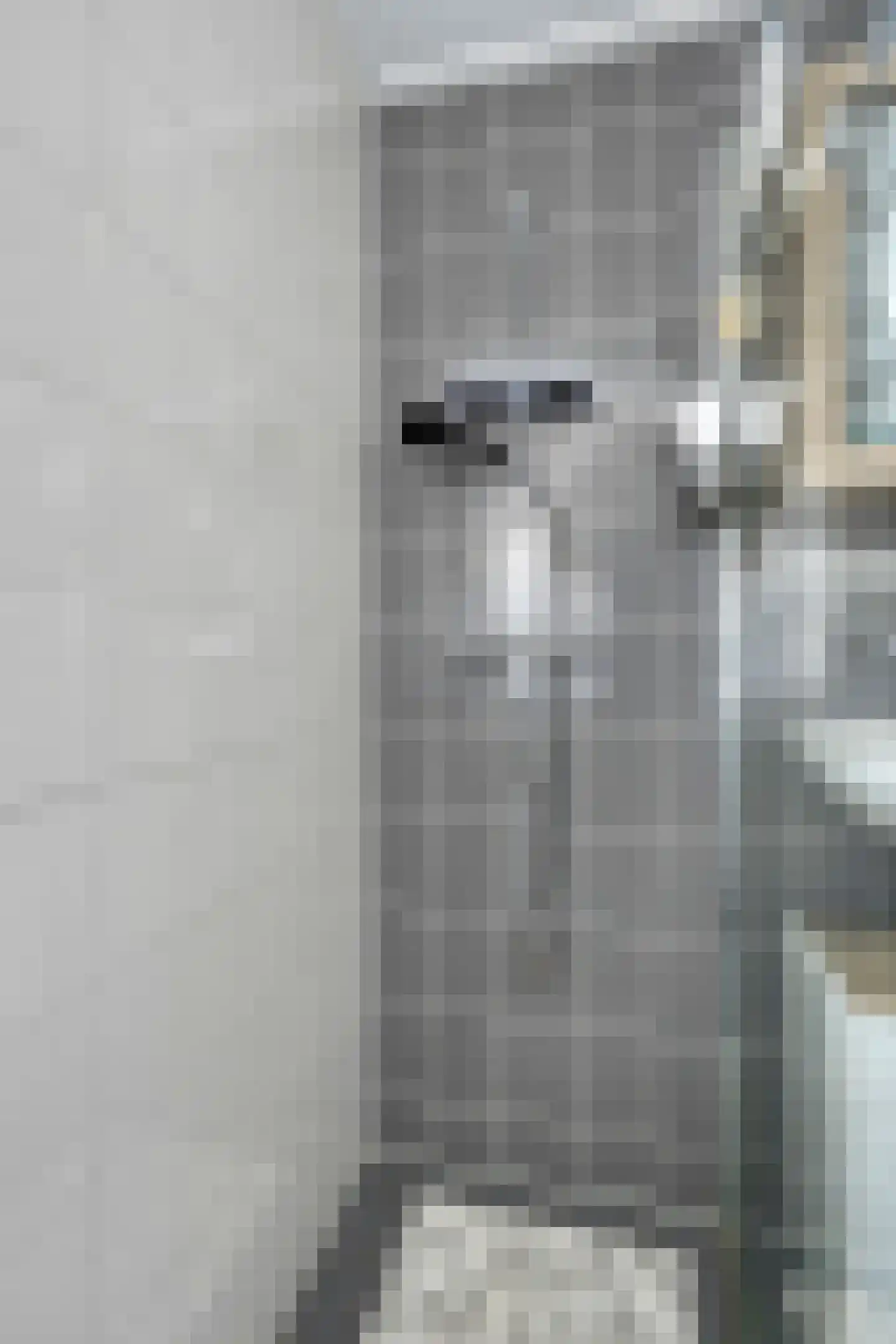de Dardanellen 23 Emmeloord thumbnail 19
