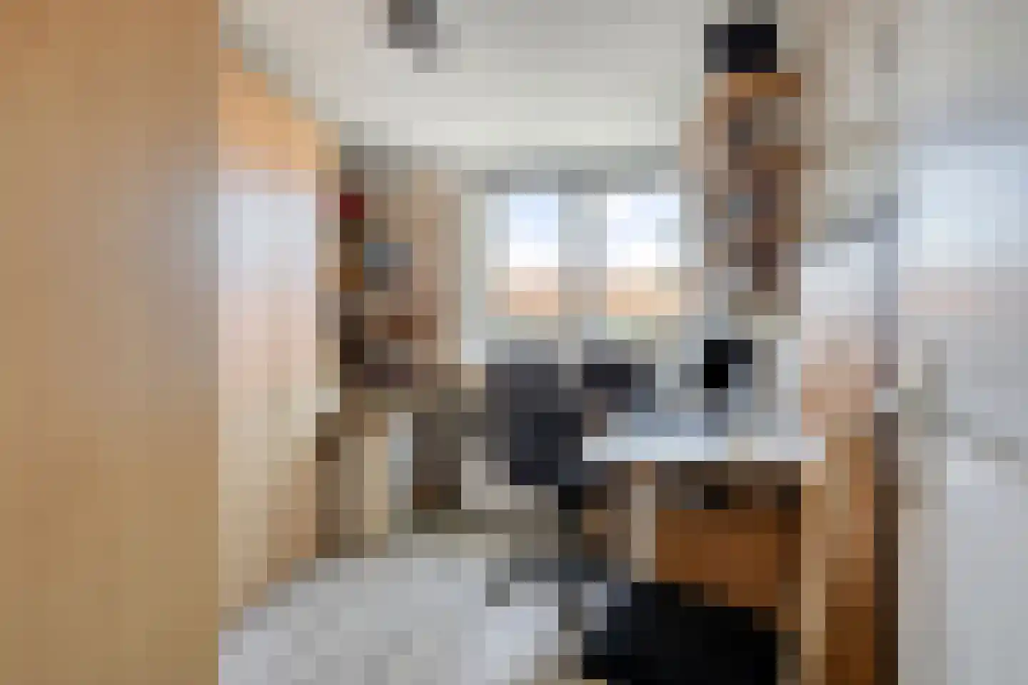 de Dardanellen 23 Emmeloord thumbnail 21