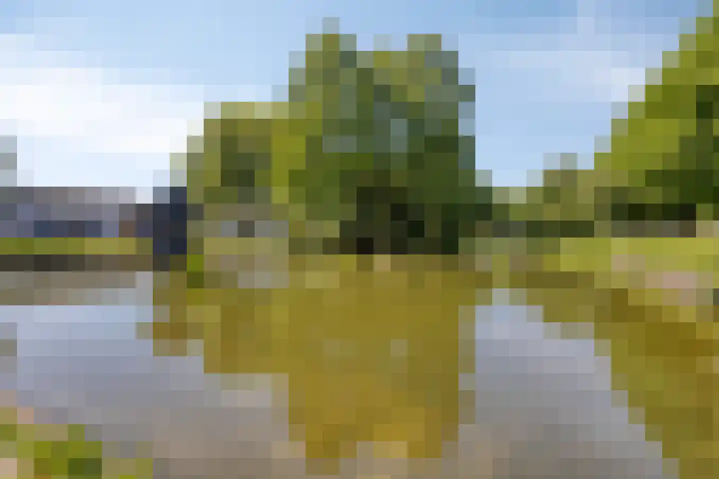 de Dardanellen 23 Emmeloord thumbnail 32