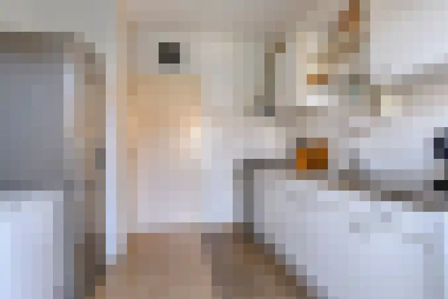 de Dardanellen 31 Emmeloord thumbnail 10