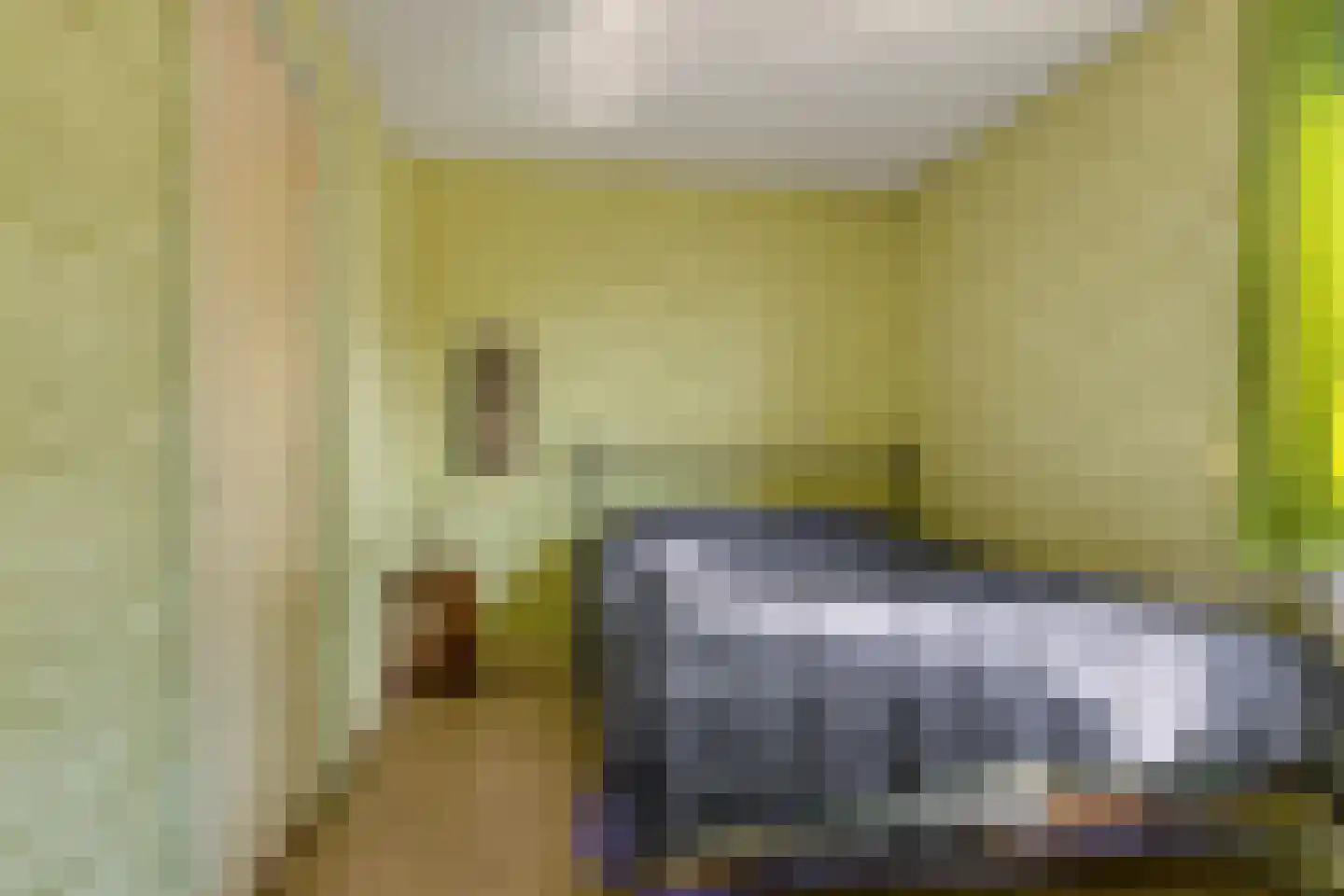 de Dardanellen 31 Emmeloord thumbnail 17
