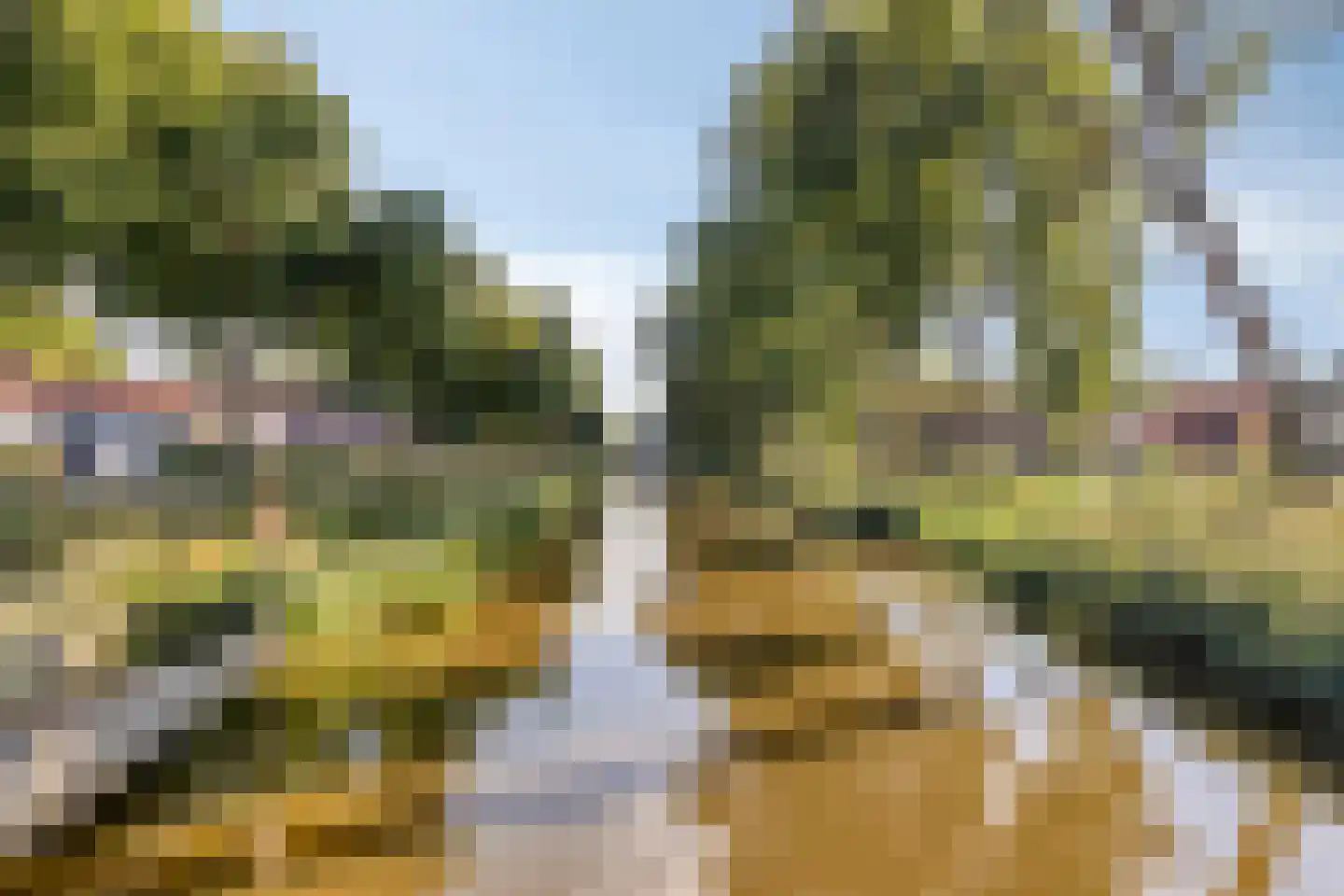 de Dardanellen 31 Emmeloord thumbnail 23