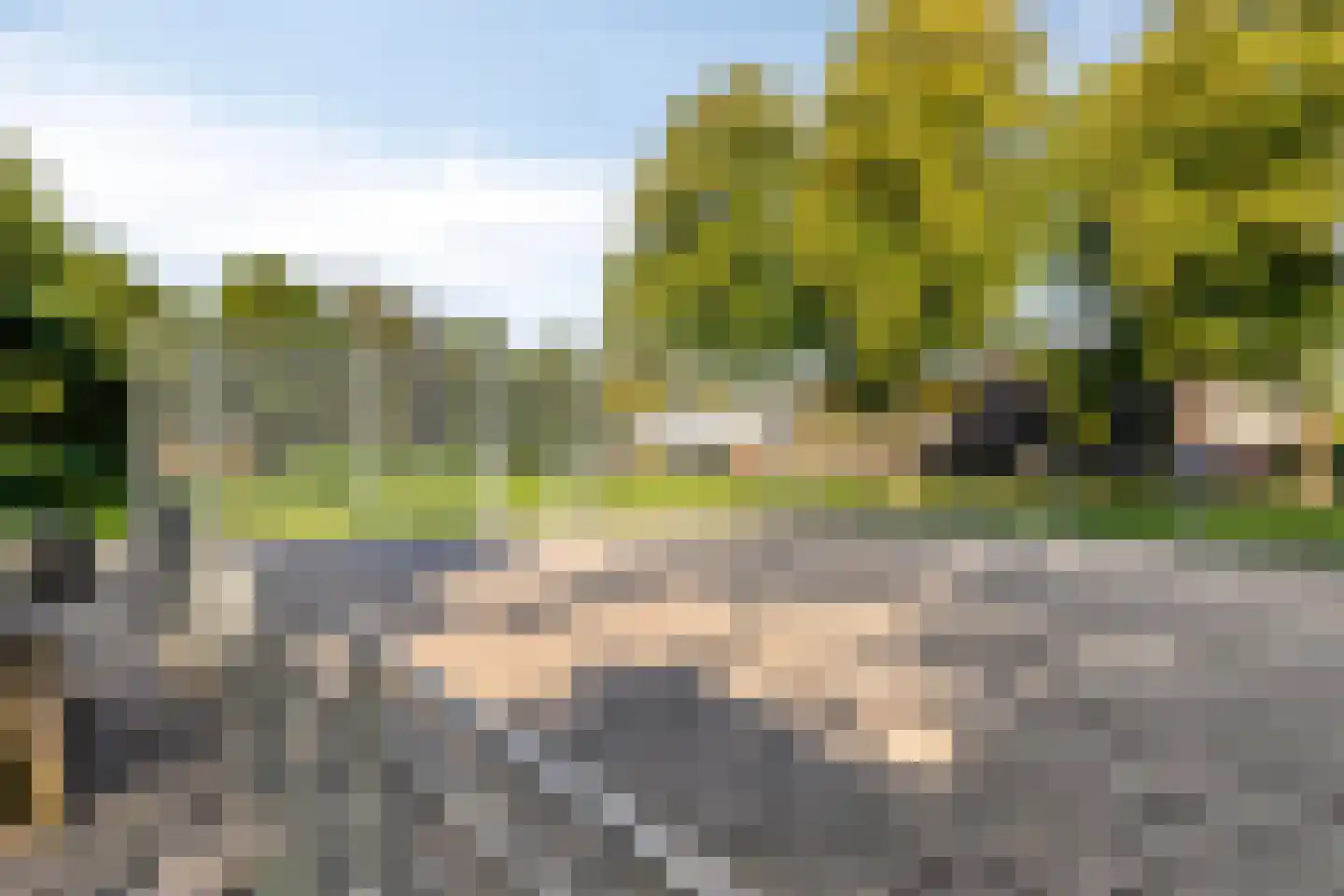 de Dardanellen 31 Emmeloord thumbnail 25