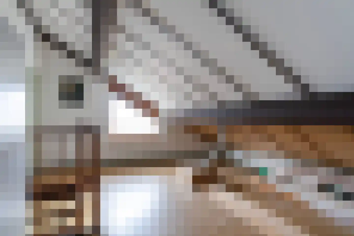 De Dassenboarch 15 IJlst thumbnail 24