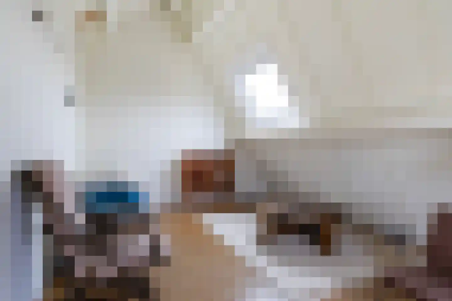 De Dassenboarch 15 IJlst thumbnail 25