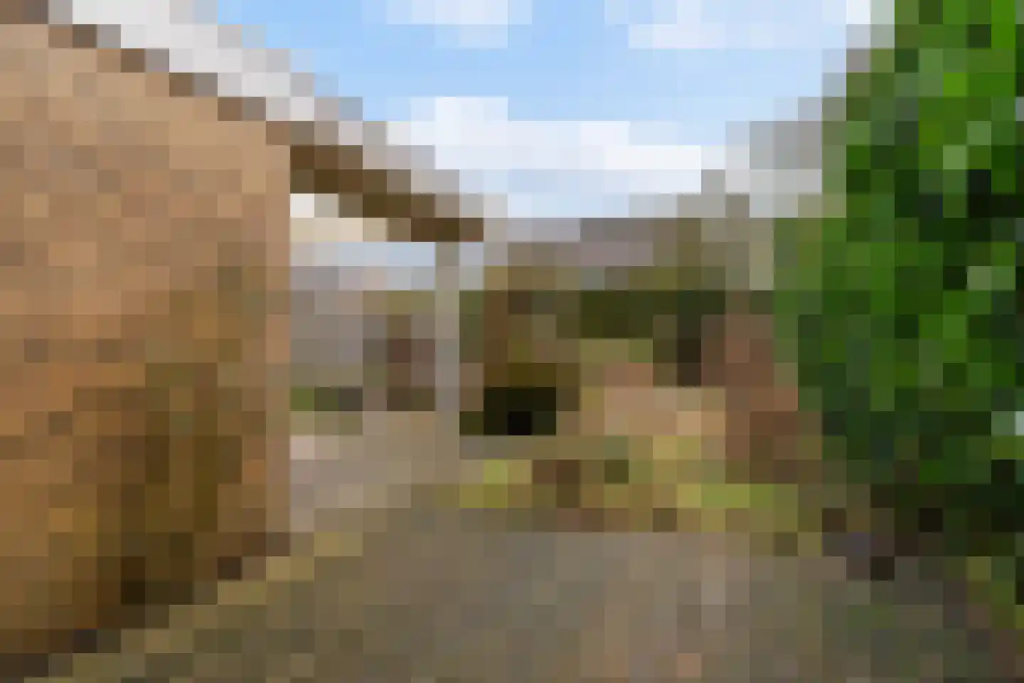 De Dassenboarch 15 IJlst thumbnail 29