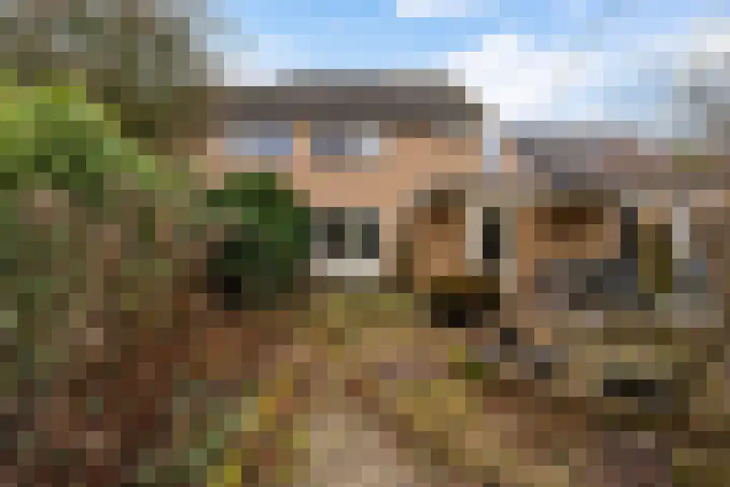 De Dassenboarch 15 IJlst thumbnail 30