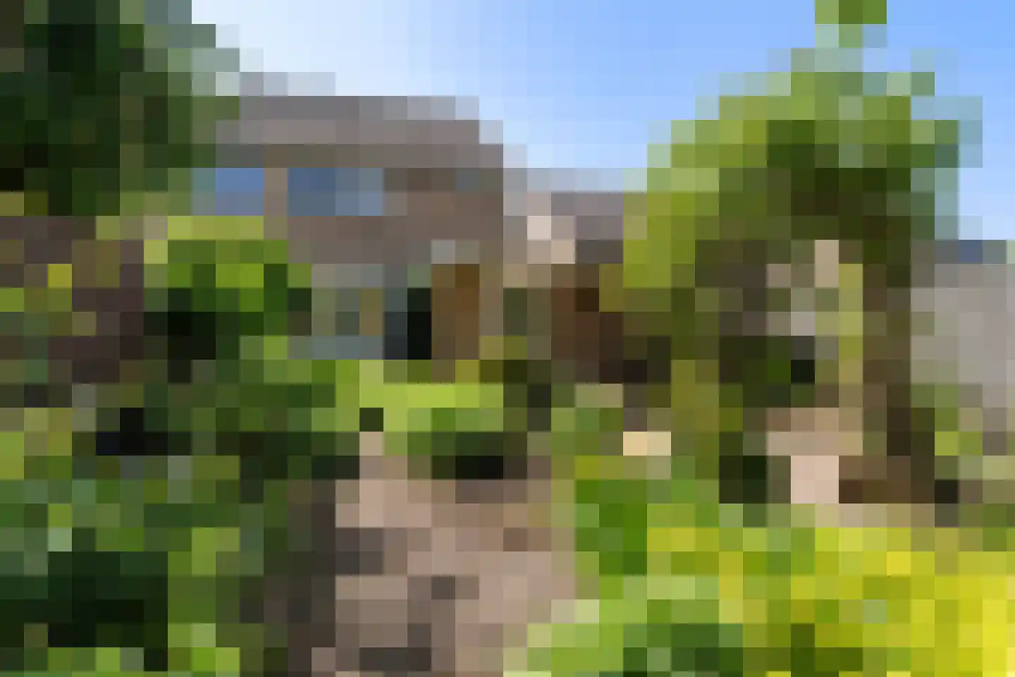 De Dassenboarch 15 IJlst thumbnail 31