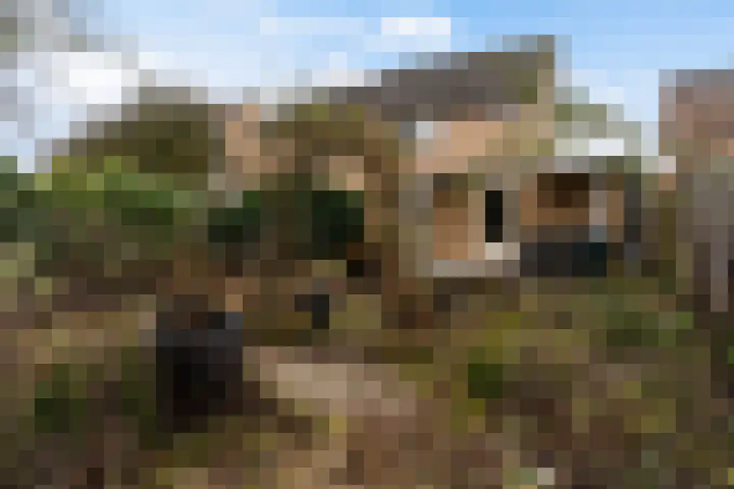 De Dassenboarch 15 IJlst thumbnail 31