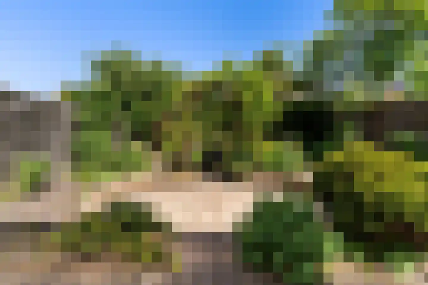 De Dassenboarch 15 IJlst thumbnail 33