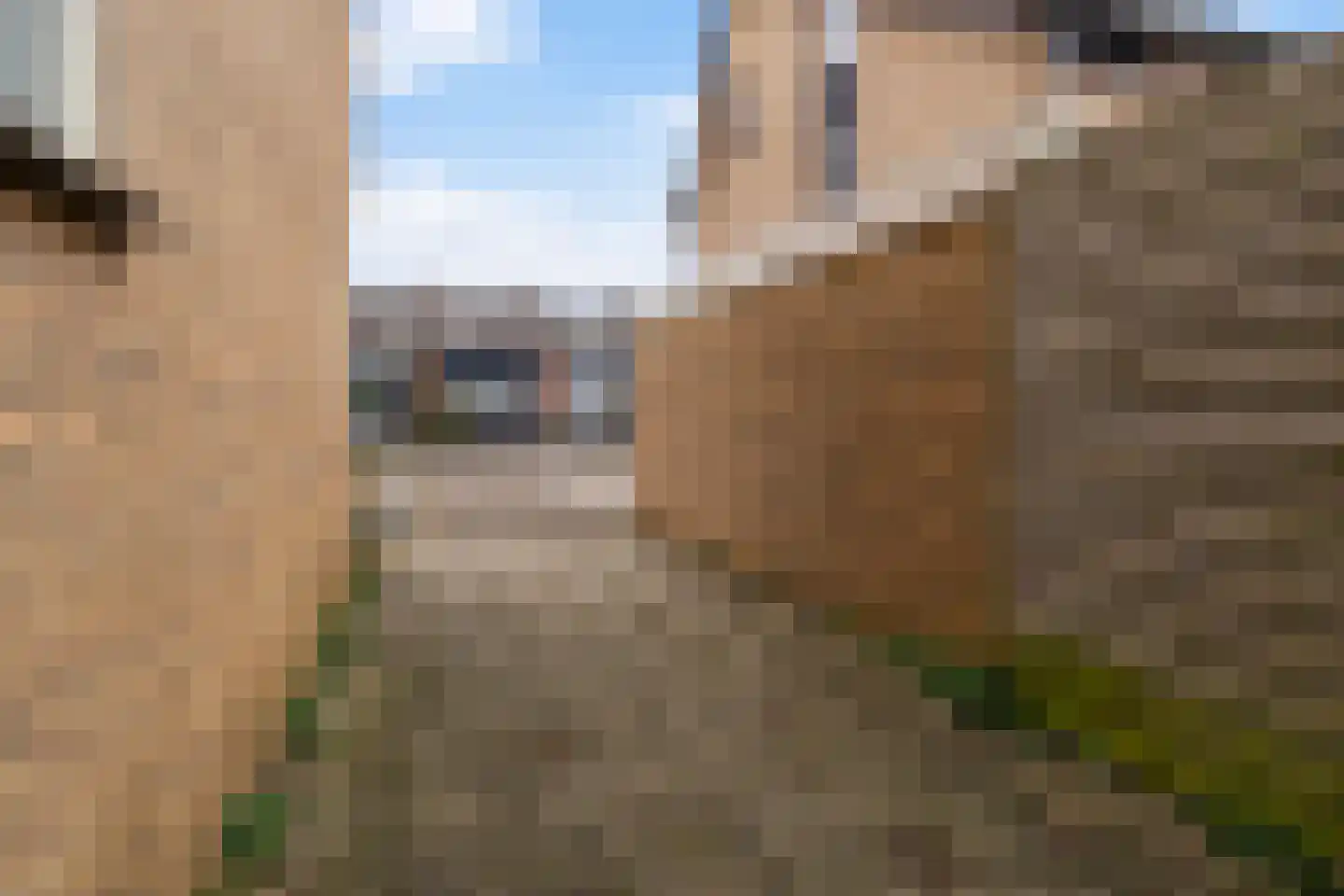 De Dassenboarch 15 IJlst thumbnail 34