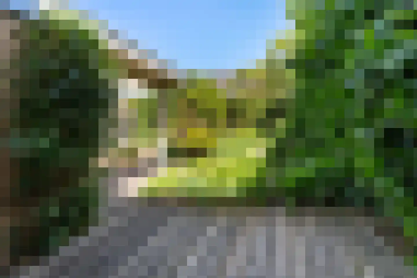 De Dassenboarch 15 IJlst thumbnail 35