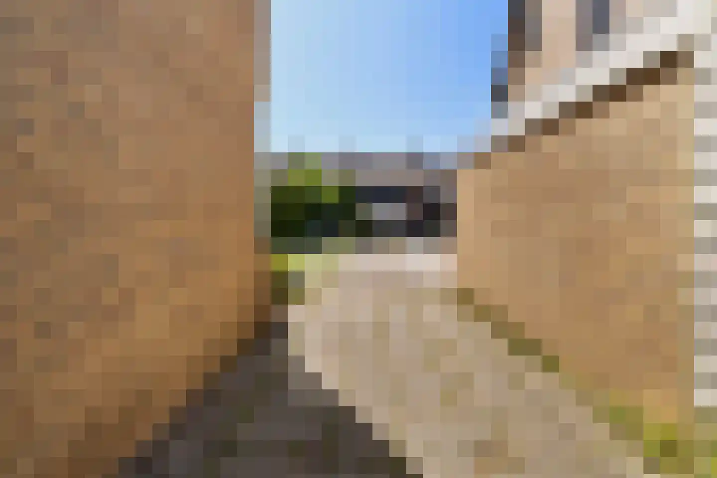 De Dassenboarch 15 IJlst thumbnail 36