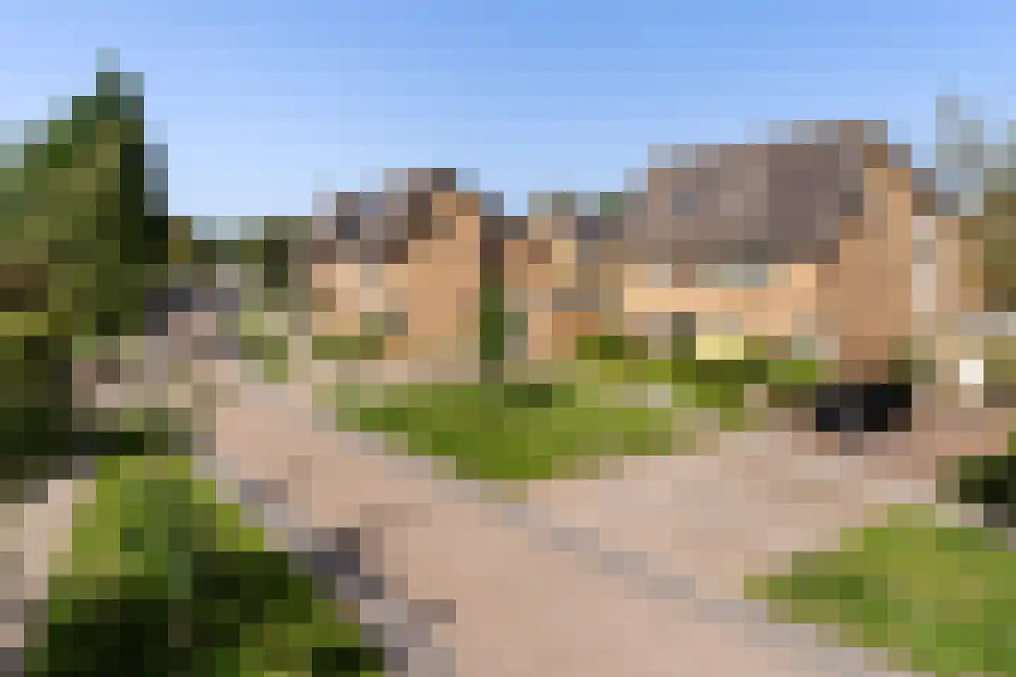 De Dassenboarch 15 IJlst thumbnail 41