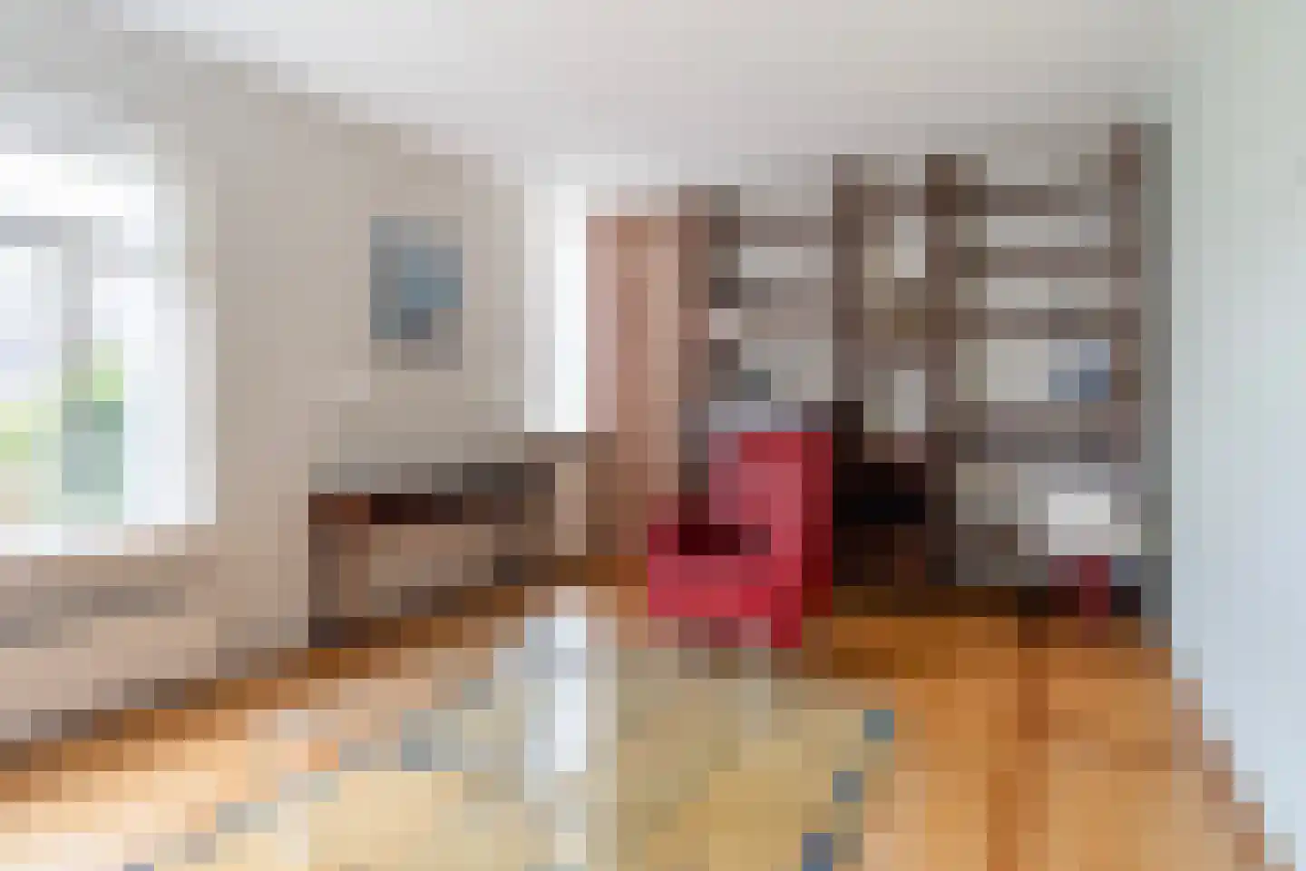 De Dassenboarch 15 IJlst thumbnail 8