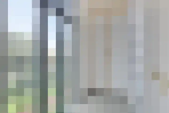 de Decanije 30 Vorden thumbnail 11