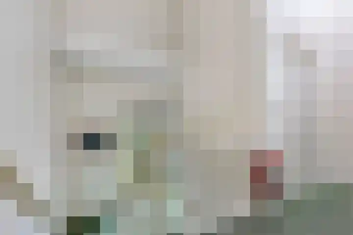 de Decanije 30 Vorden thumbnail 12