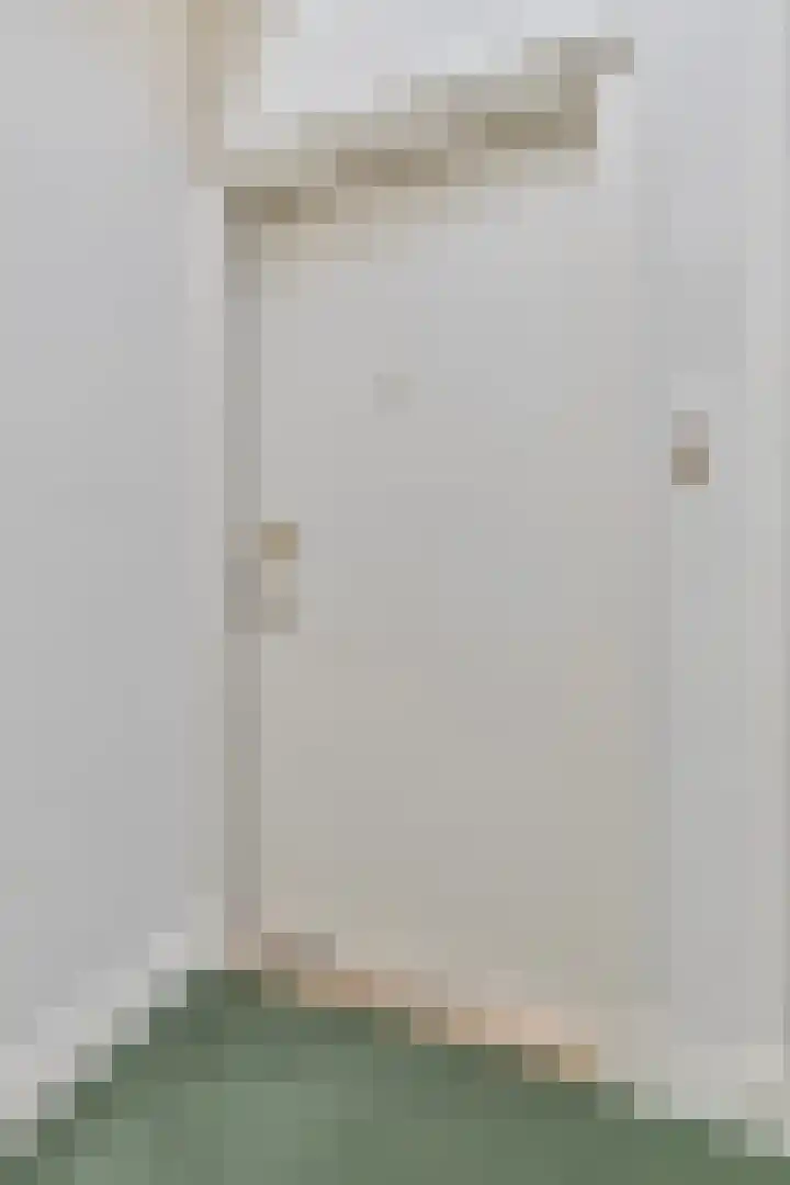 de Decanije 30 Vorden thumbnail 13