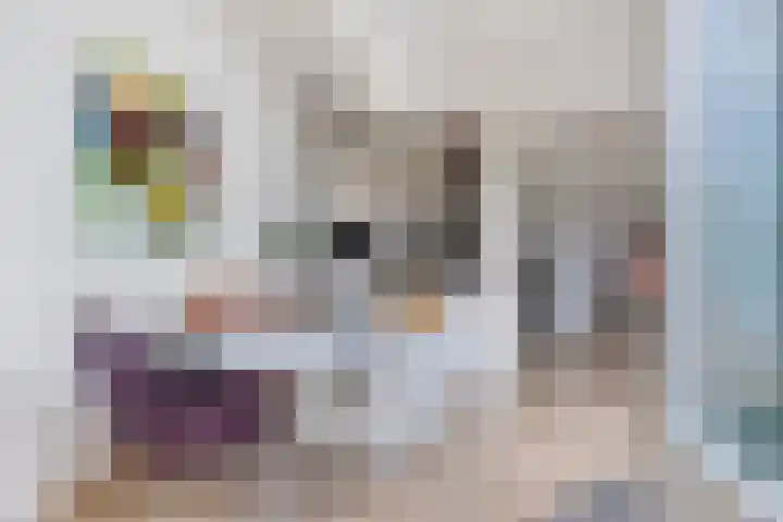 de Decanije 30 Vorden thumbnail 26
