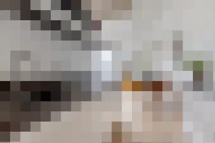 de Decanije 30 Vorden thumbnail 29