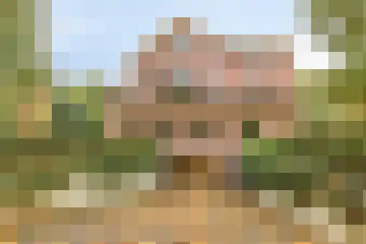 de Decanije 30 Vorden foto 3