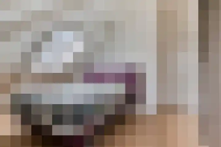 de Decanije 30 Vorden thumbnail 31
