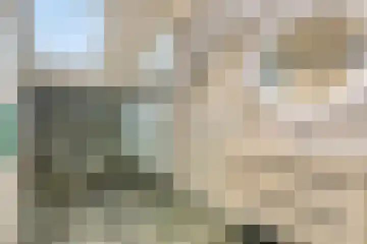 de Decanije 30 Vorden thumbnail 32