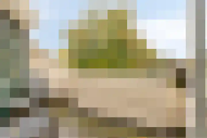 de Decanije 30 Vorden thumbnail 34