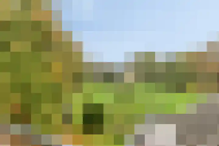 de Decanije 30 Vorden thumbnail 36