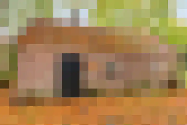 de Decanije 30 Vorden thumbnail 42