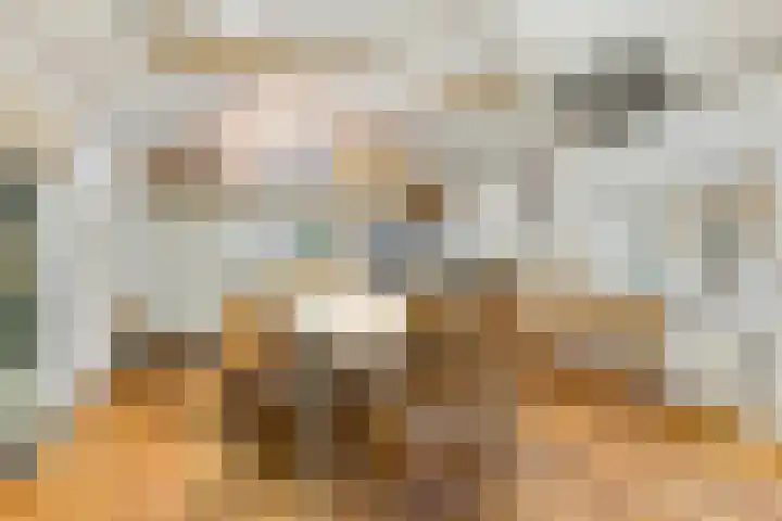 de Decanije 30 Vorden thumbnail 43