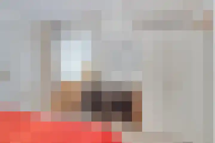 de Decanije 30 Vorden thumbnail 51