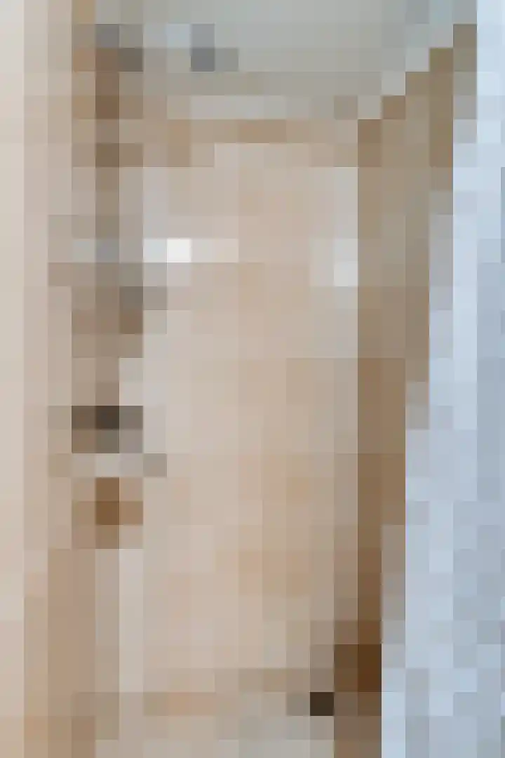 de Decanije 30 Vorden thumbnail 53