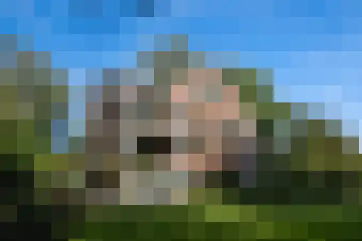 de Decanije 41 Vorden