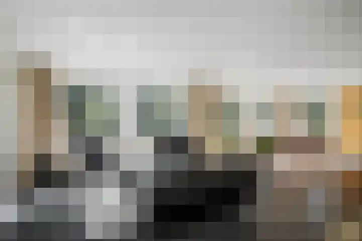 de Decanije 41 Vorden thumbnail 13