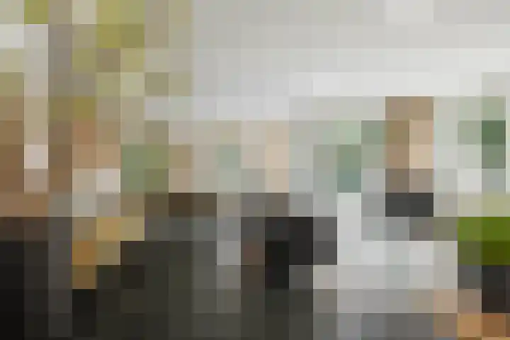 de Decanije 41 Vorden thumbnail 15