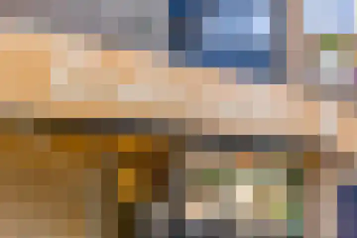 de Decanije 41 Vorden thumbnail 18