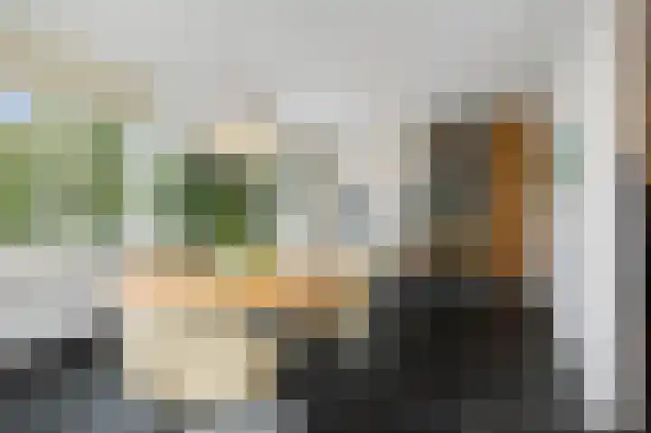 de Decanije 41 Vorden thumbnail 20