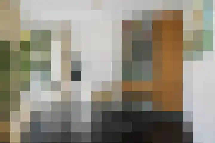 de Decanije 41 Vorden thumbnail 21