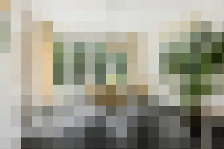 de Decanije 41 Vorden thumbnail 22