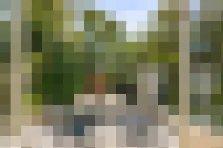 de Decanije 41 Vorden thumbnail 23