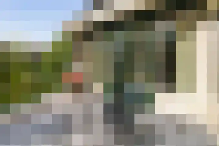de Decanije 41 Vorden thumbnail 24