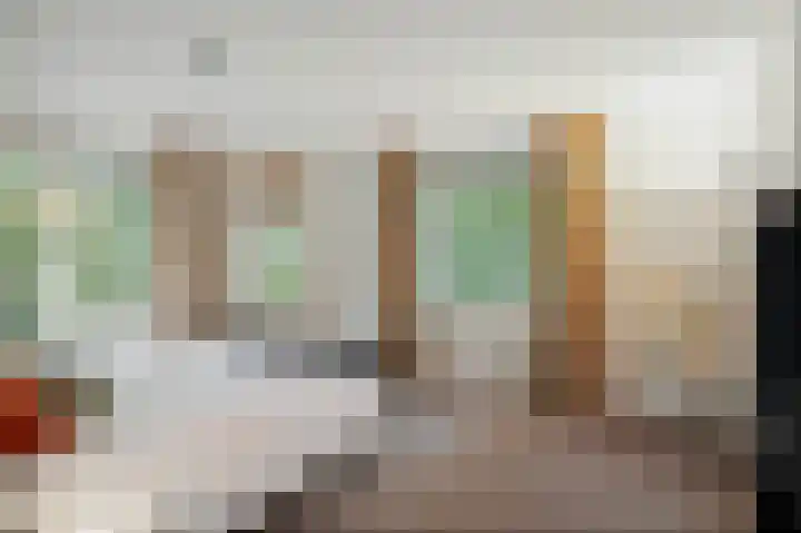 de Decanije 41 Vorden thumbnail 28
