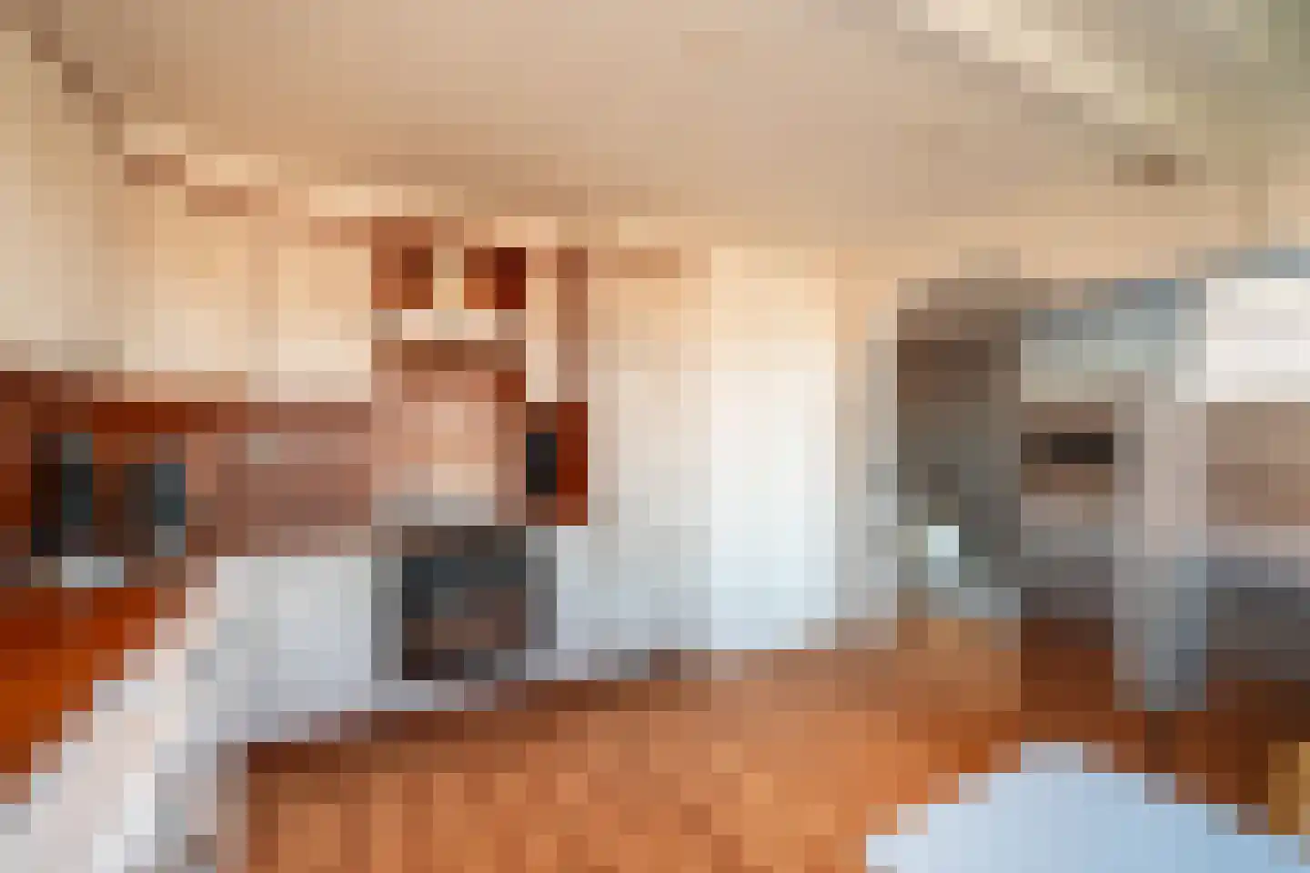 de Decanije 41 Vorden foto 3