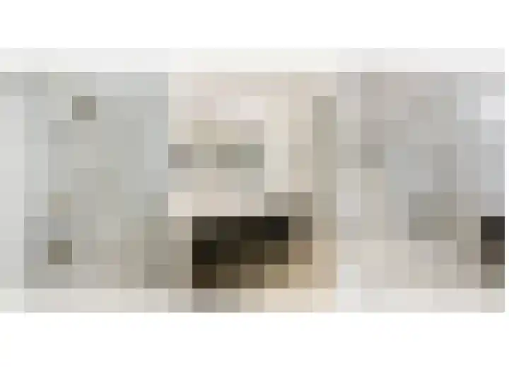 de Decanije 41 Vorden thumbnail 31