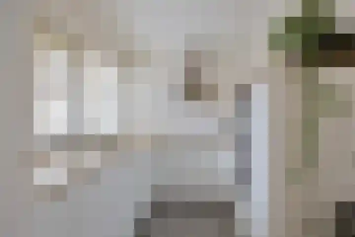 de Decanije 41 Vorden thumbnail 35