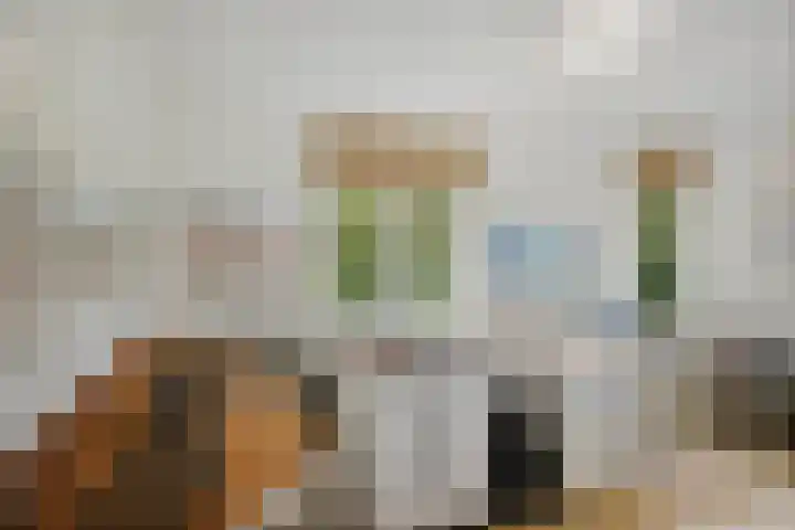 de Decanije 41 Vorden thumbnail 36